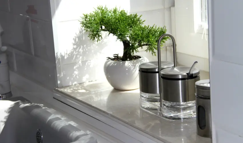 N�meth Apartmanok S�rv�r - Augusztus 20.