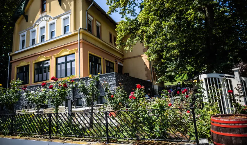 Neptun Badacsony Badacsony - Augusztus 20.