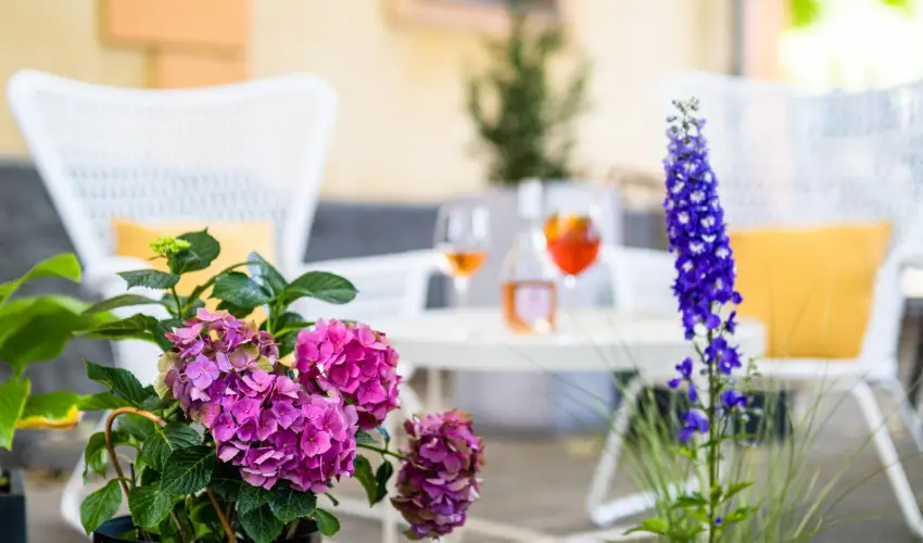 Neptun Badacsony Badacsony - Augusztus 20.