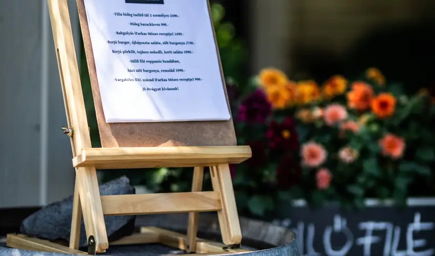 Neptun Badacsony Badacsony - Augusztus 20.