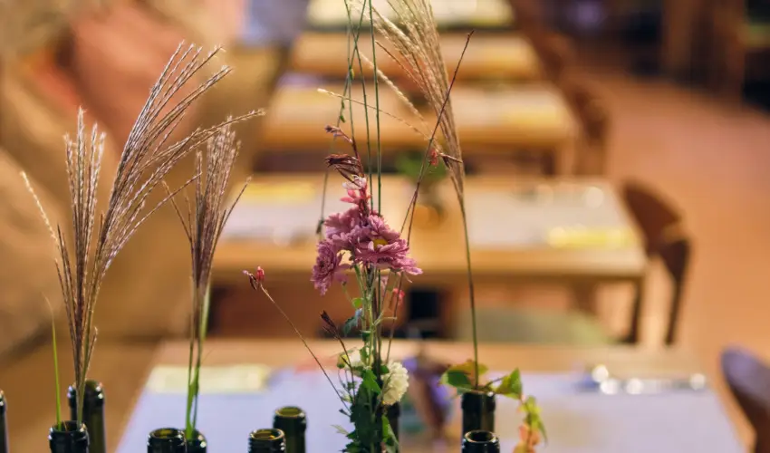 Neptun Badacsony Badacsony - Augusztus 20.