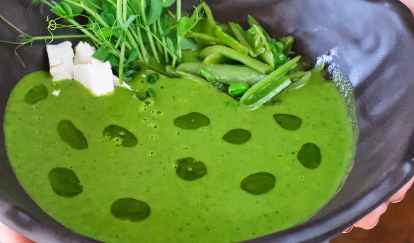 Neptun Badacsony Badacsony - Augusztus 20.