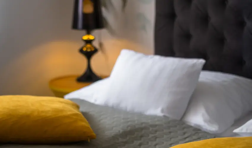 Neptun Badacsony Badacsony - Augusztus 20.