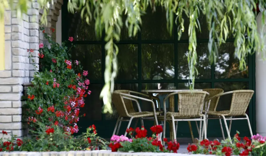 Nyerges Hotel Terml Monor - Augusztus 20.