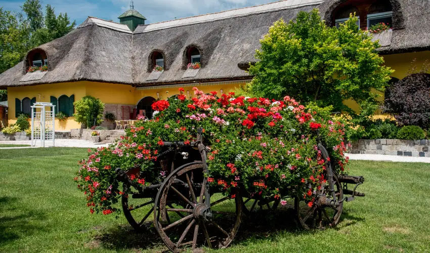 Nyerges Hotel Terml Monor - Augusztus 20.