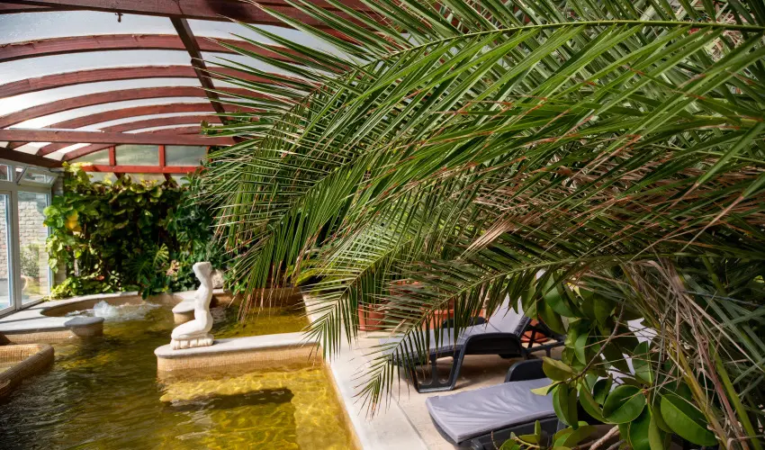 Nyerges Hotel Terml Monor - Augusztus 20.