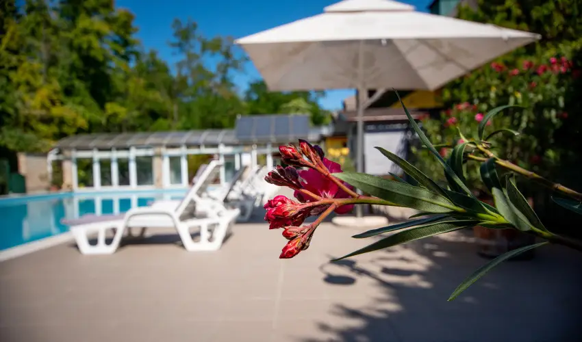 Nyerges Hotel Terml Monor - Augusztus 20.