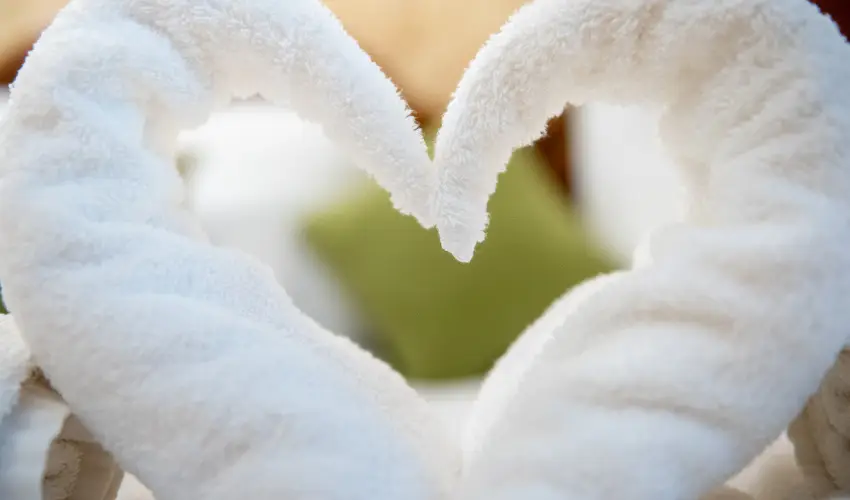 Nyerges Hotel Terml Monor - Augusztus 20.