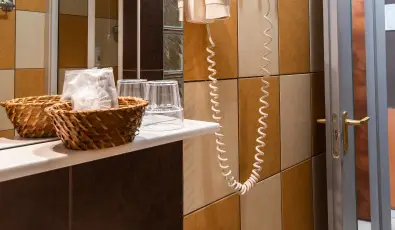 Nyerges Hotel Terml Monor