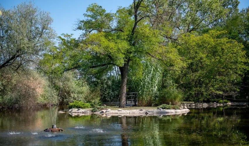 Nyerges Hotel Terml Monor - Augusztus 20.