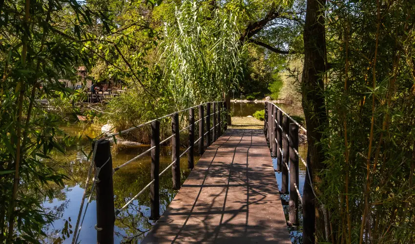 Nyerges Hotel Terml Monor - Augusztus 20.