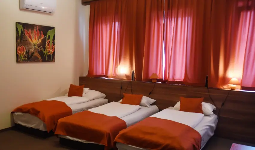 O�zis Wellness Panzi� Szigetszentmikl�s - Augusztus 20.