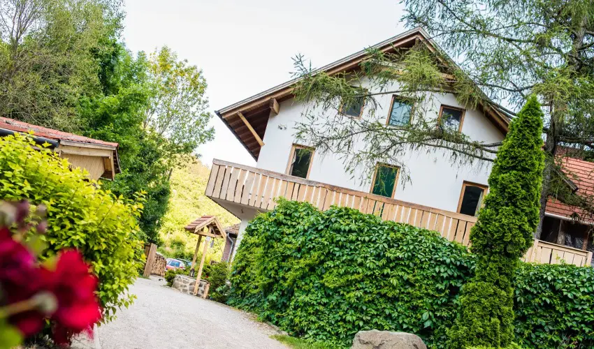 �ko-Park Panzi� Szarvask� - Augusztus 20.