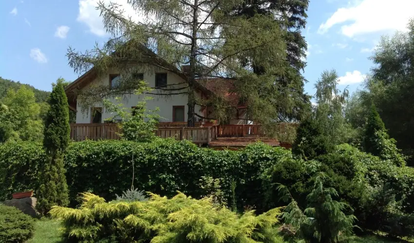 �ko-Park Panzi� Szarvask� - Augusztus 20.