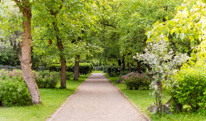 �ko-Park Panzi� Szarvask� - Augusztus 20.