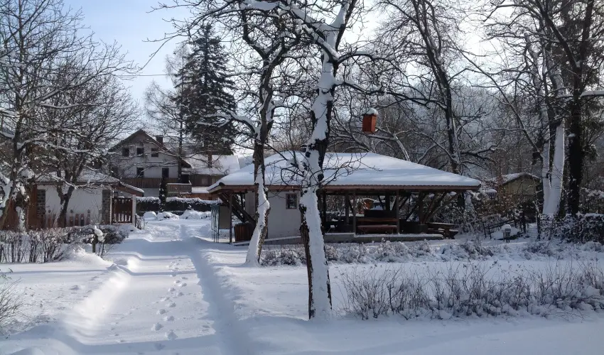 �ko-Park Panzi� Szarvask� - Augusztus 20.