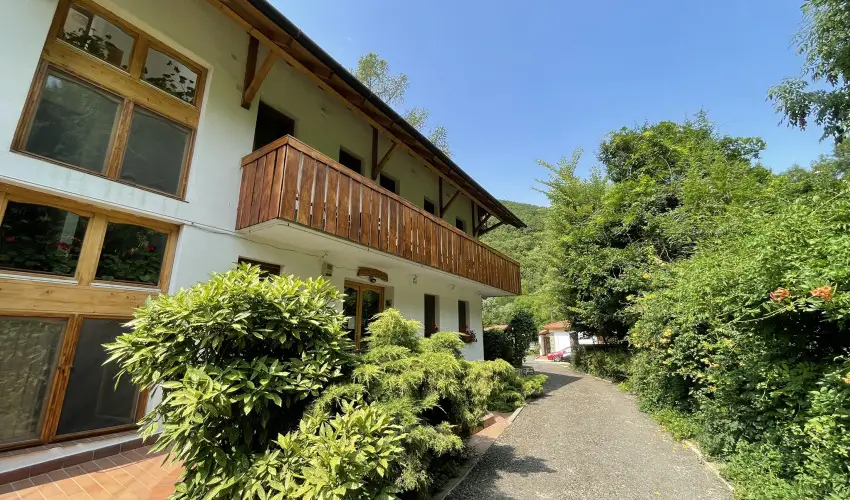 �ko-Park Panzi� Szarvask� - Augusztus 20.