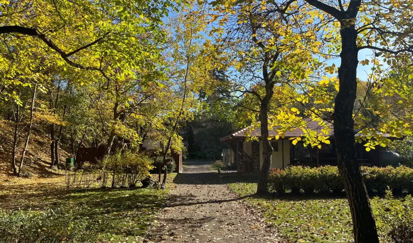 �ko-Park Panzi� Szarvask� - Augusztus 20.