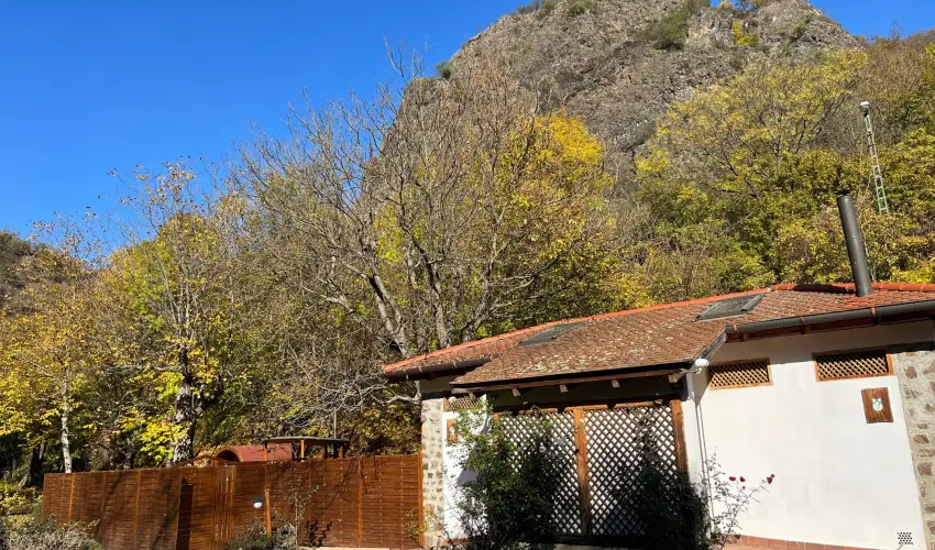 �ko-Park Panzi� Szarvask� - Augusztus 20.