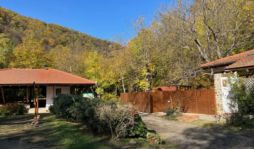 �ko-Park Panzi� Szarvask� - Augusztus 20.