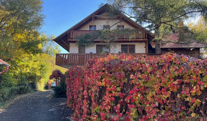 �ko-Park Panzi� Szarvask� - Augusztus 20.