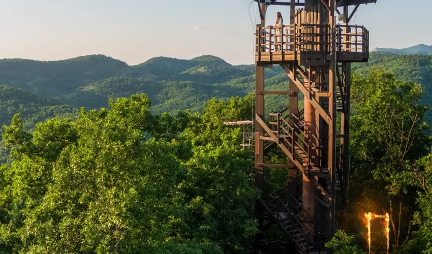 �ko-Park Panzi� Szarvask� - Augusztus 20.