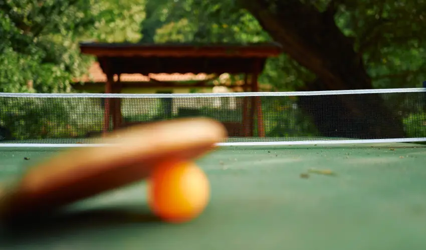 �ko-Park Panzi� Szarvask� - Augusztus 20.