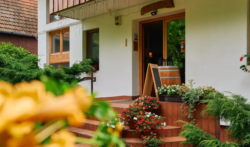 �ko-Park Panzi� Szarvask� - Augusztus 20.