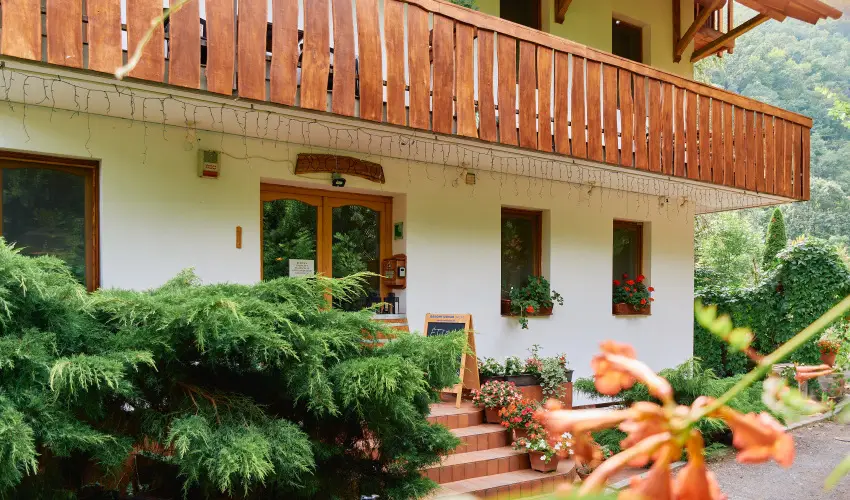 �ko-Park Panzi� Szarvask� - Augusztus 20.