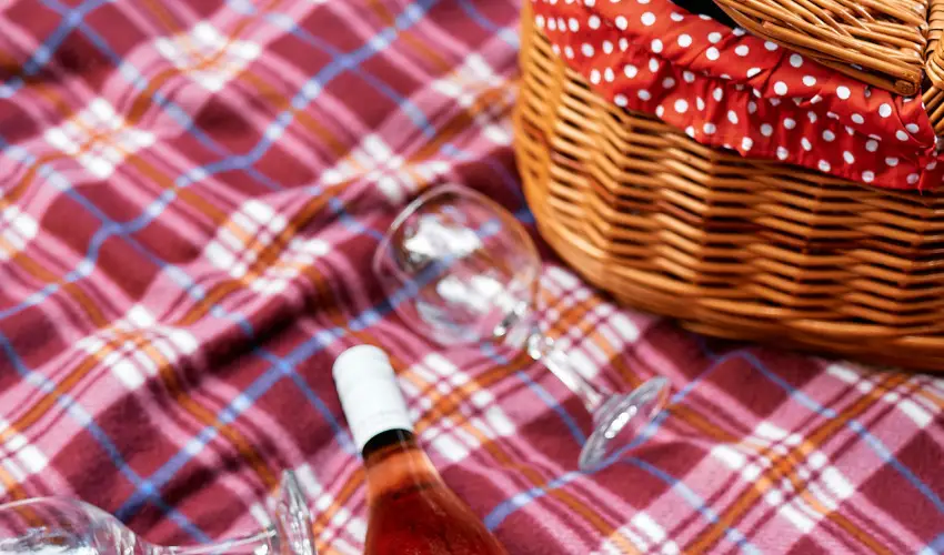 �ko-Park Panzi� Szarvask� - Augusztus 20.