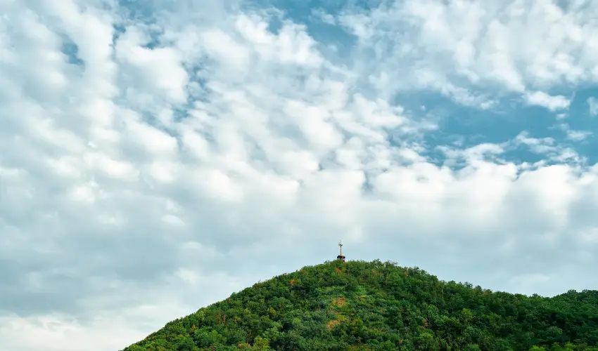 �ko-Park Panzi� Szarvask� - Augusztus 20.