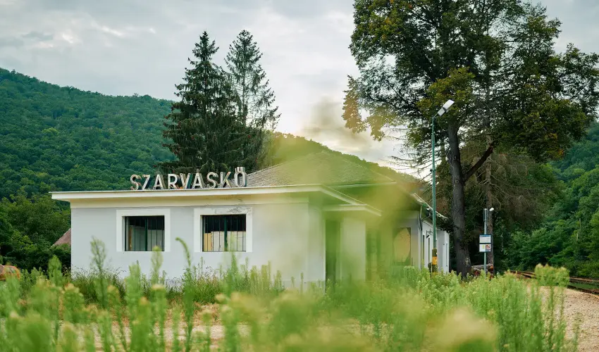 �ko-Park Panzi� Szarvask� - Augusztus 20.