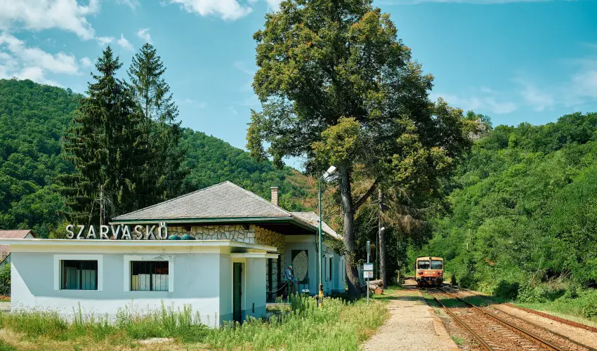 �ko-Park Panzi� Szarvask� - Augusztus 20.