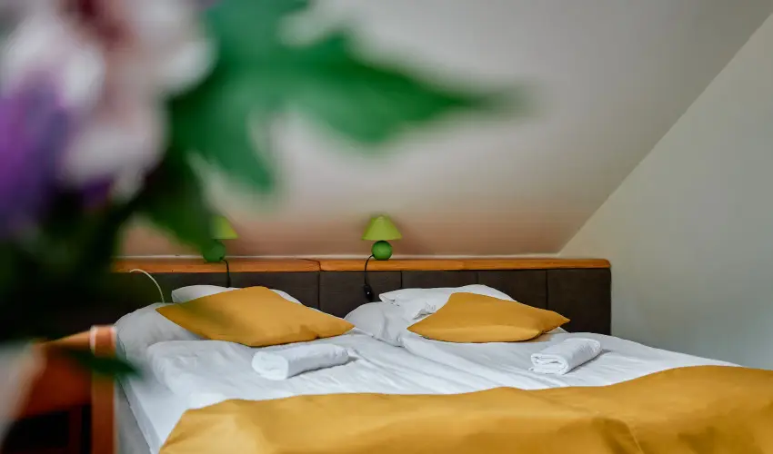 �ko-Park Panzi� Szarvask� - Augusztus 20.