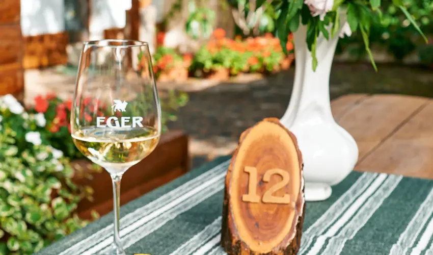 �ko-Park Panzi� Szarvask� - Augusztus 20.