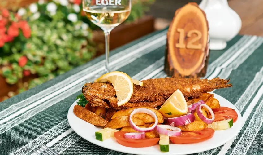 �ko-Park Panzi� Szarvask� - Augusztus 20.