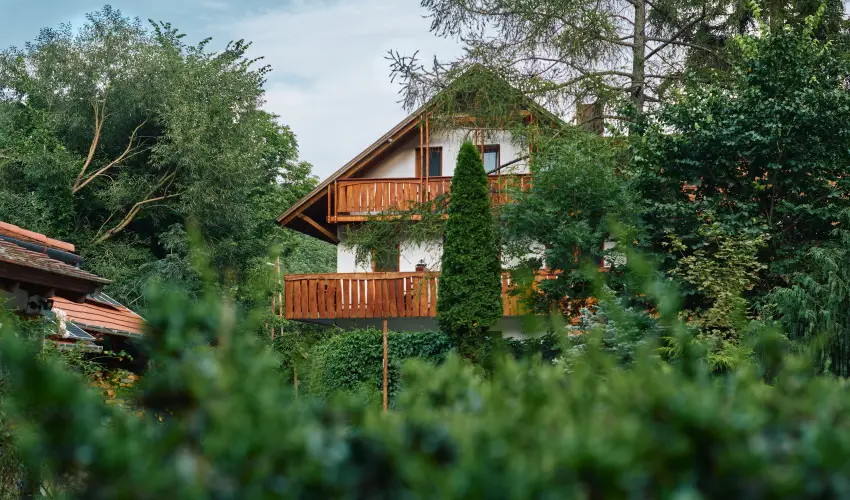 �ko-Park Panzi� Szarvask� - Augusztus 20.