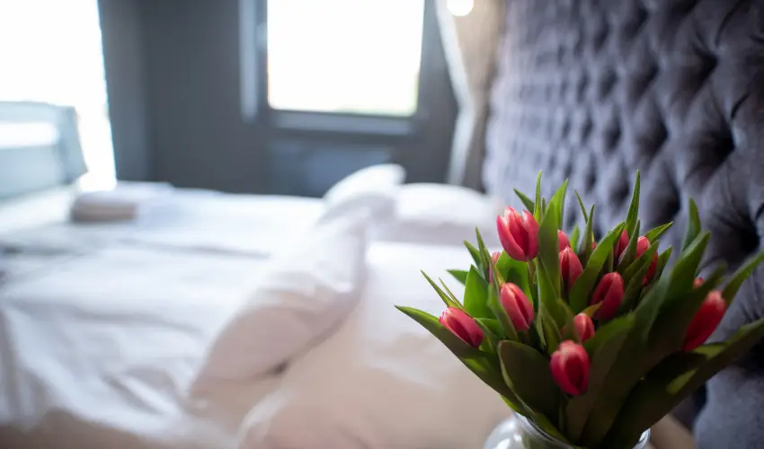 Onyx Luxury Srvr Srvr - Augusztus 20. - teljes elrefizetssel (min. 2 j)