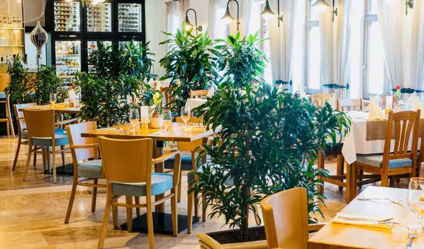 reg Halsz tterem s Fogad Tt - Augusztus 20.