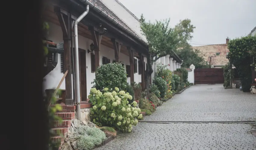 reg Prs Butikhotel Mr - Augusztus 20. 