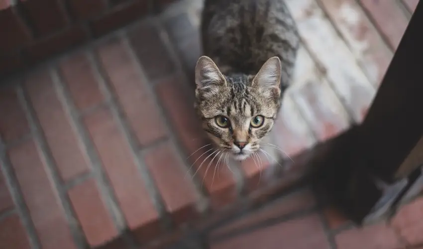 reg Prs Butikhotel Mr - Augusztus 20. 