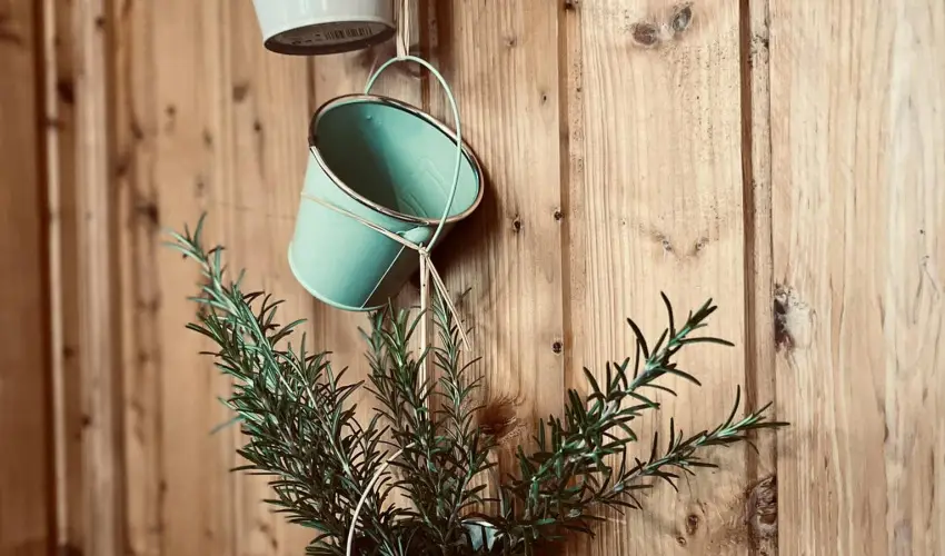 reg Prs Butikhotel Mr - Augusztus 20. 