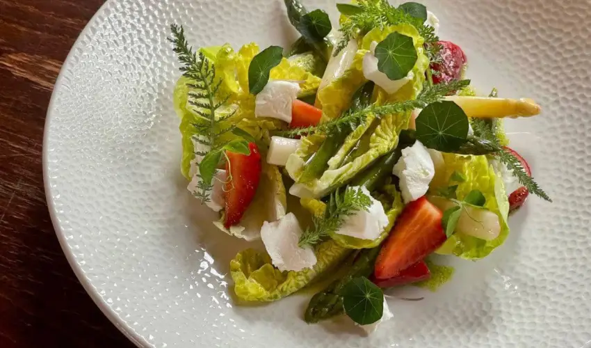 reg Prs Butikhotel Mr - Augusztus 20. 