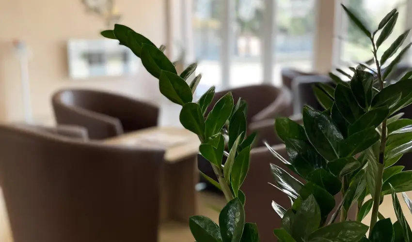 Öreg-tó Hotel Tata - Augusztus 20.