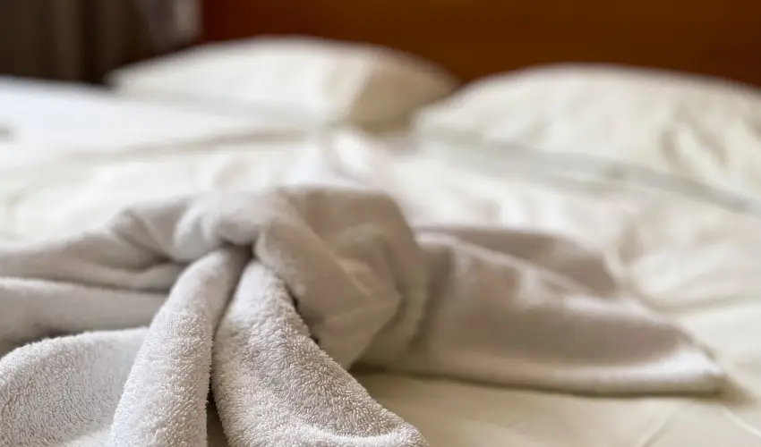 Öreg-tó Hotel Tata - Augusztus 20.