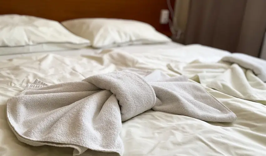 Öreg-tó Hotel Tata - Augusztus 20.