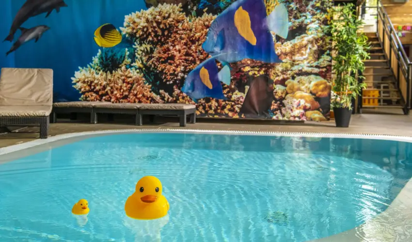 Oxig�n Family Hotel Noszvaj - Augusztus 20. (min. 2 �j)