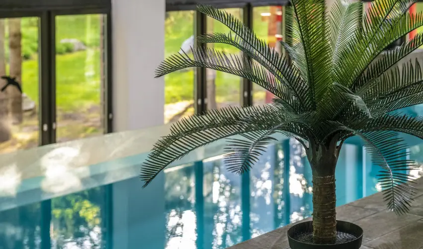 Oxig�n Family Hotel Noszvaj - Augusztus 20. (min. 2 �j)