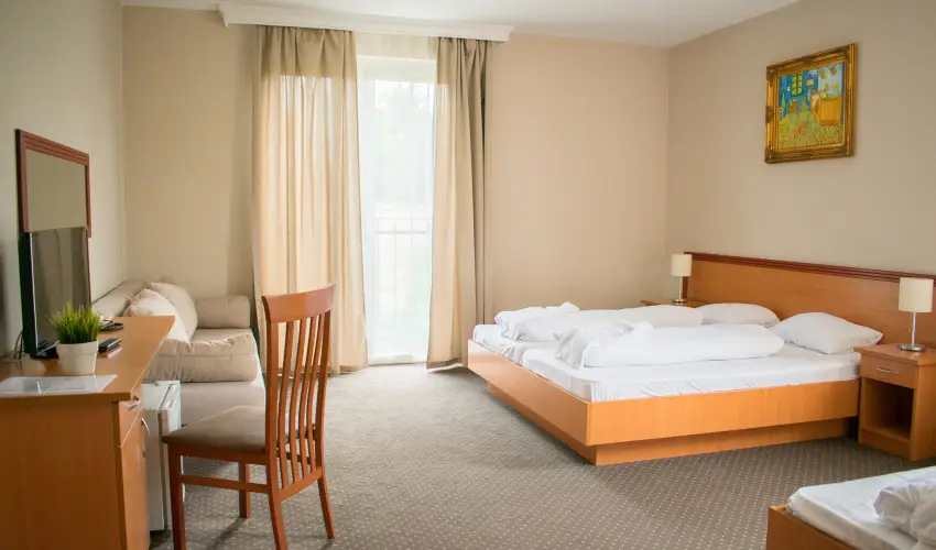 P4W Hotel Residence Szombathely Szombathely - Augusztus 20.