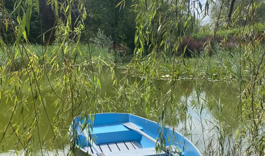 Pal�cliget Vend�gh�z K�tbodony - Augusztus 20. - teljes el�refizet�ssel (min. 2 �j)